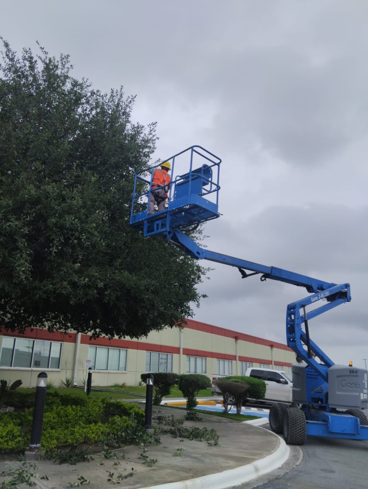 Evidencia de Jardineria 3